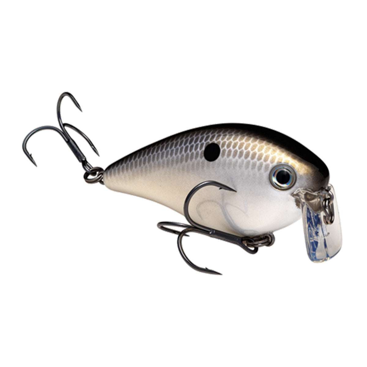 Strike King Kevin VanDam 2.5 Wake Bait Image in Gizzard Shad