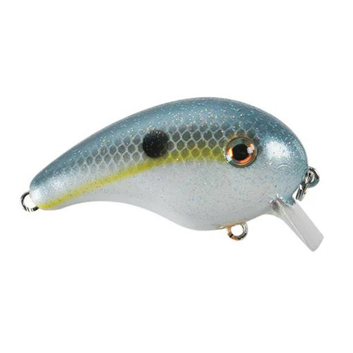 Sexy Shad