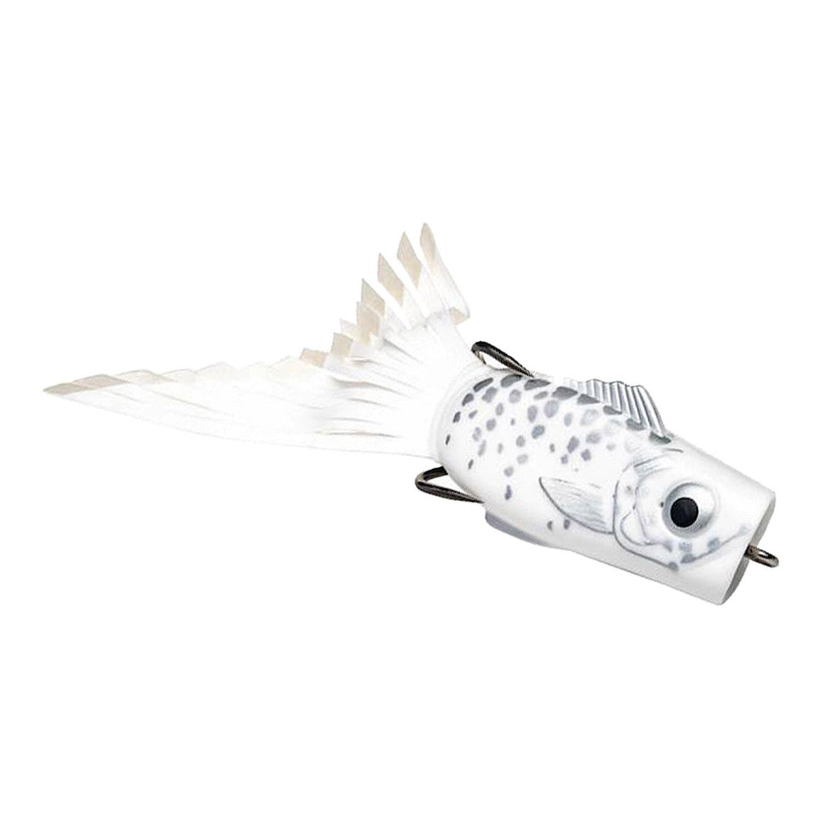 Strike King 5 1/4" KVD Popping Perch - White Shadow Shad Spawn