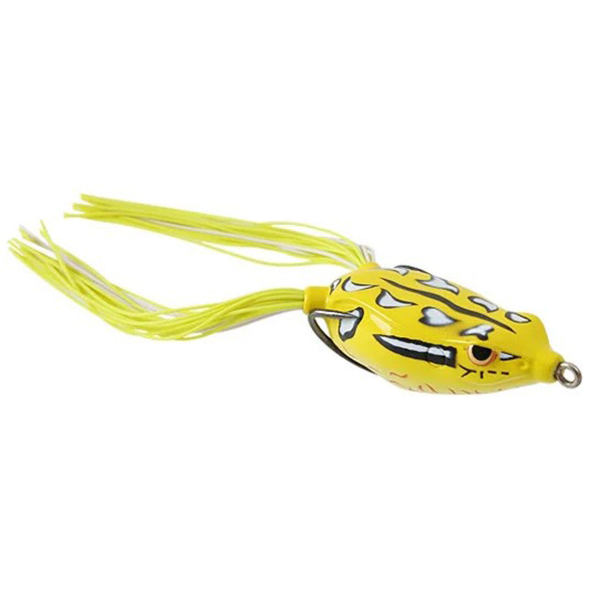 Bronzeye Frog 60