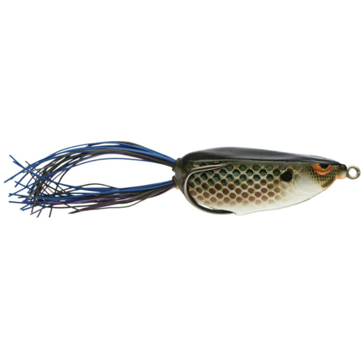 Bronzeye Shad in Killer Gill