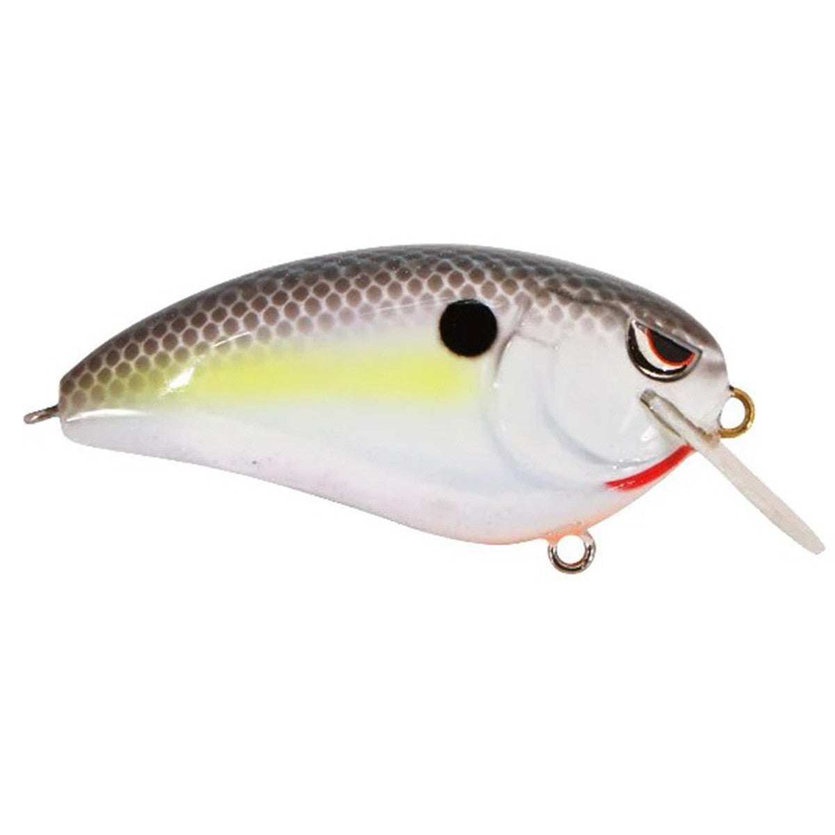 Nesty Shad