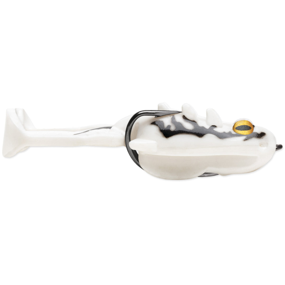 Image of the Storm Surge Frog in White