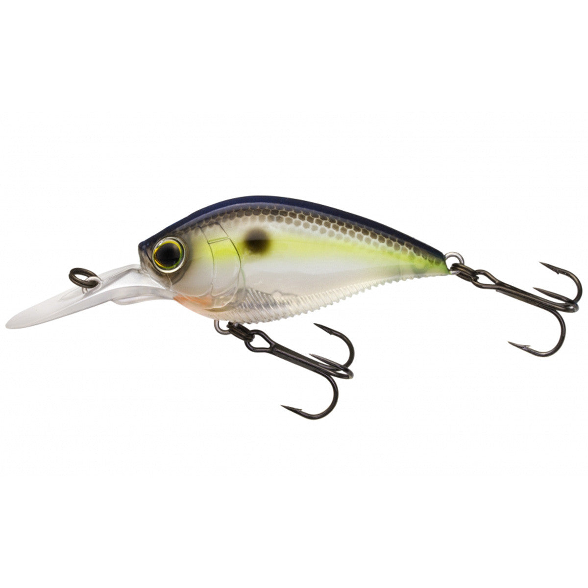 Image of the Yo-Zuri 3DB Crank in Sexy Shad