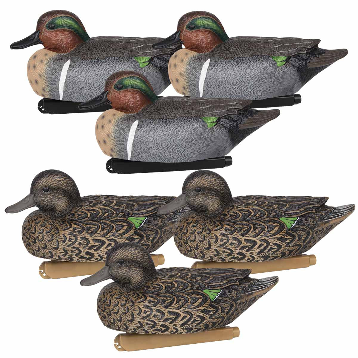 Zink Calls Green-Winged Teal Life-Size Floating Duck Decoys Group Image