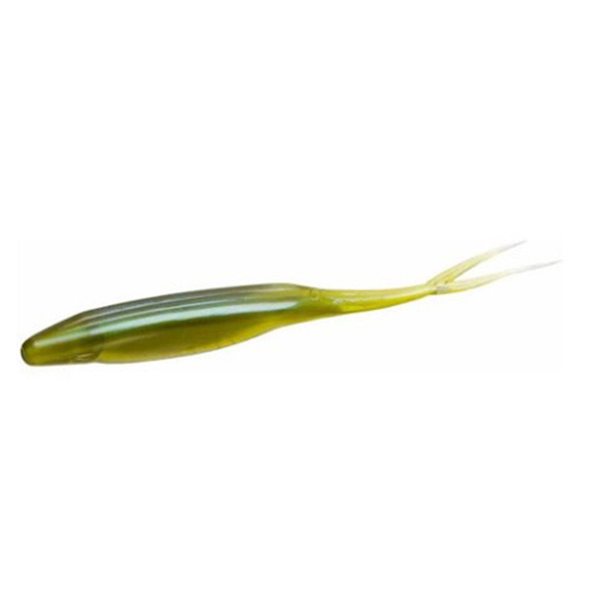 Bait Fish