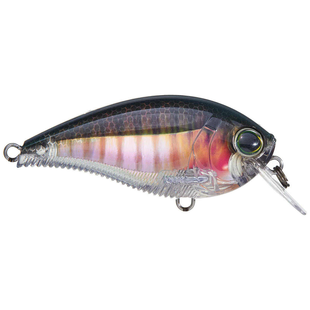 Image of the Yo-Zuri 3DB Series Squarebill Crankbait in Real Bluegill